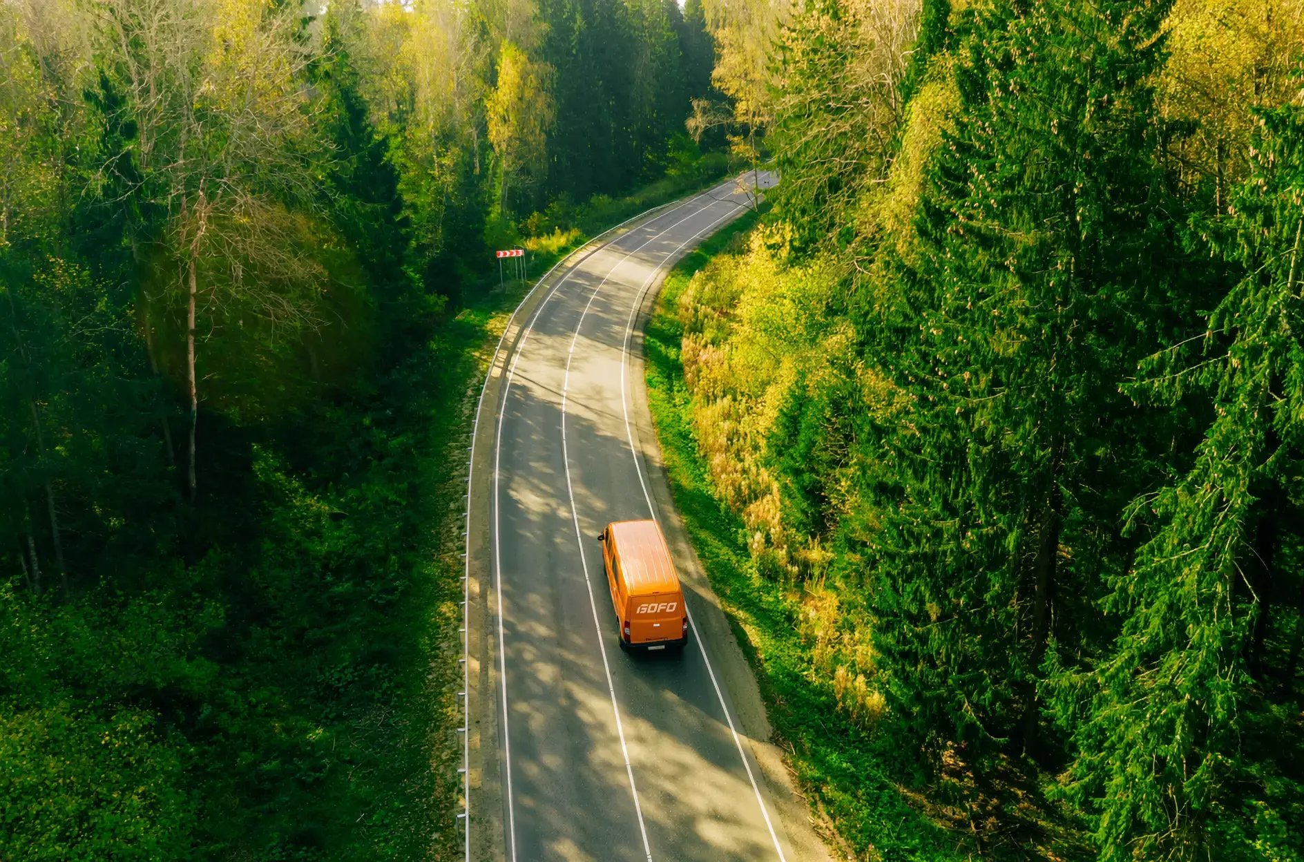 Groene bestelwagen in het bos (1)